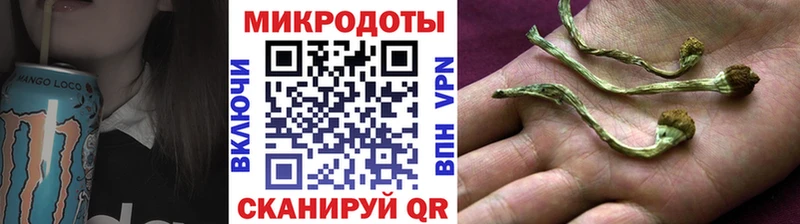 Галлюциногенные грибы ЛСД  даркнет сайт  Новокубанск 