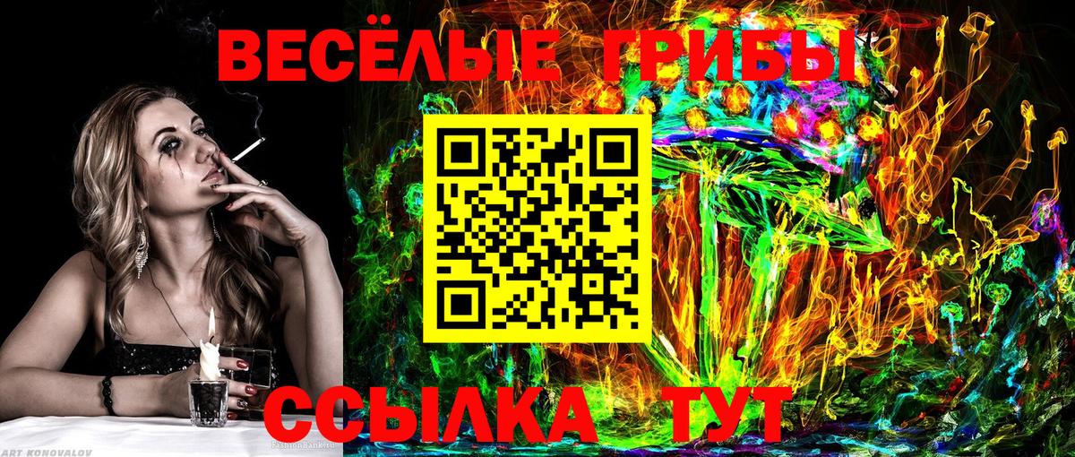 Галлюциногенные грибы MAGIC MUSHROOMS Новокубанск