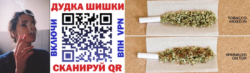 где можно купить наркотик  Новокубанск  Канабис MAZAR 